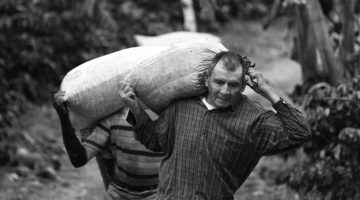 La ruralidad que entrega Santos
