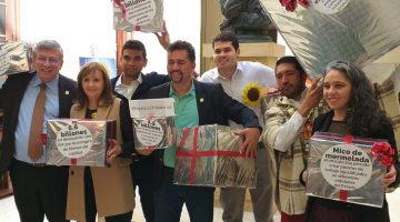 Y se aprobó la Ley de financiamiento. Era lo que interesaba