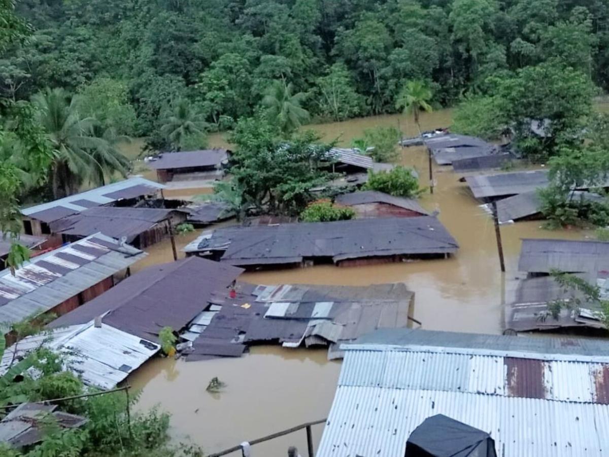 chocó (1)